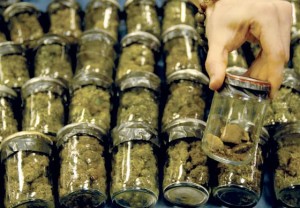Montana Marijuana Act